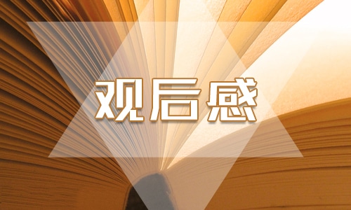 交通安全观后感300字优秀作文